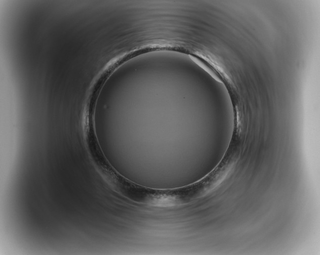 X0000099950348200805231326