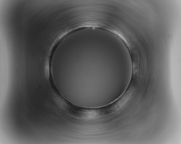X0000099950349200805231326