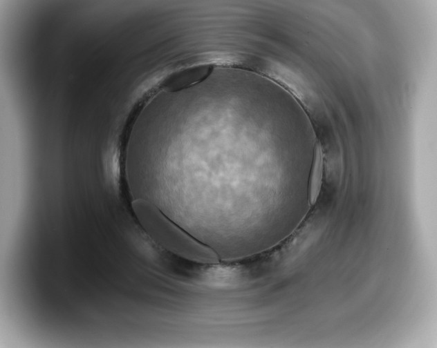 X0000099950350200805231326