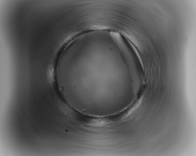 X0000099950351200805231326