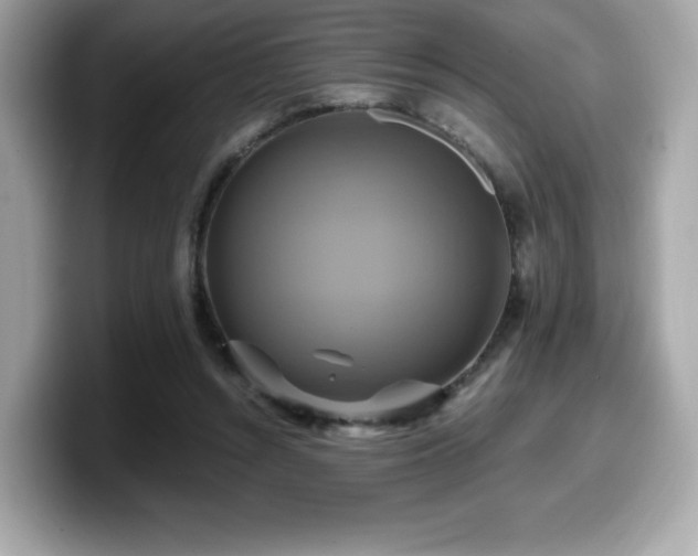 X0000099950352200805231326