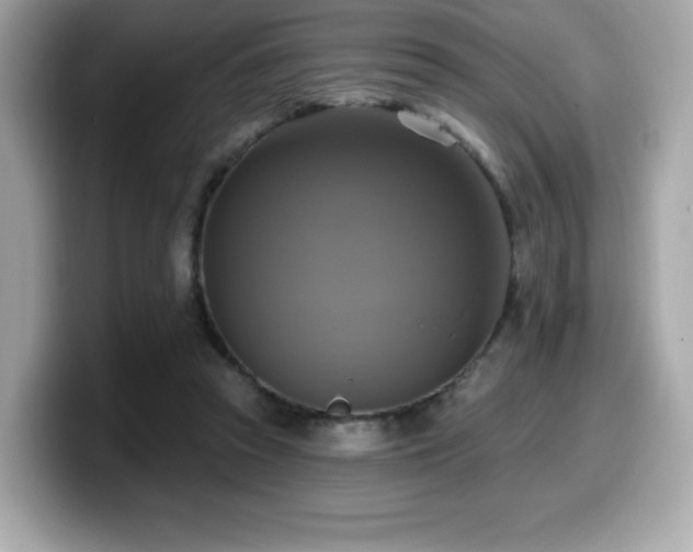 X0000099950353200805231326