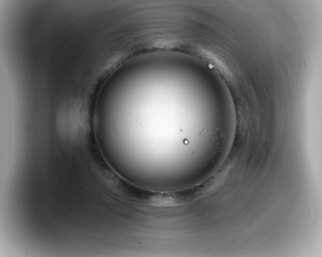 X0000099950354200805231326