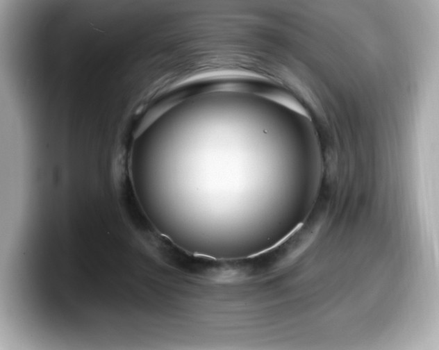X0000099950356200805231326