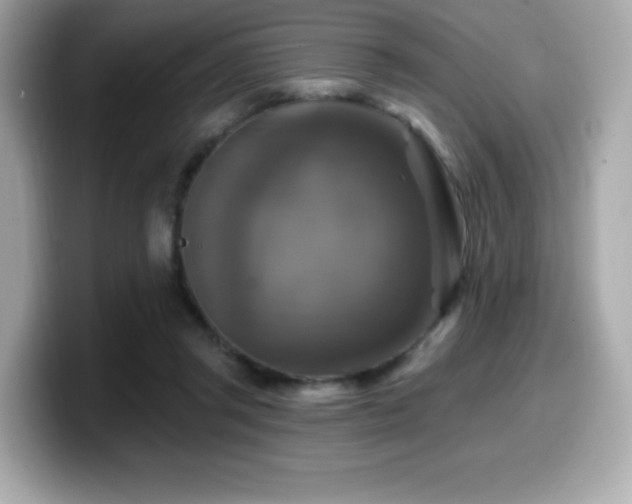 X0000099950357200805231326