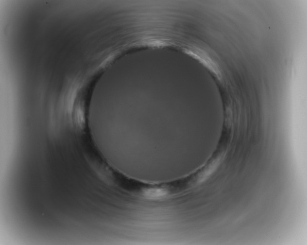 X0000099950358200805231326