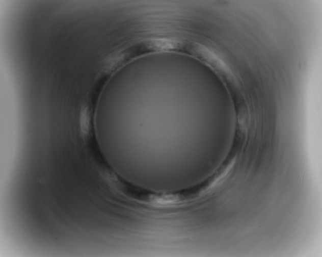 X0000099950359200805231326