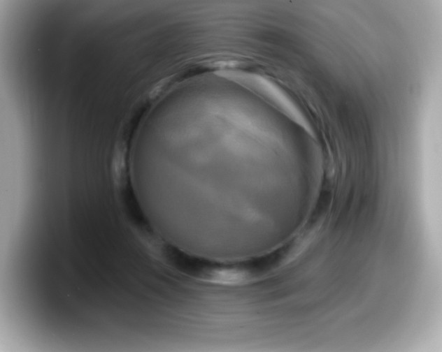 X0000099950360200805231326