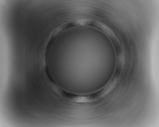 X0000099950361200805231326