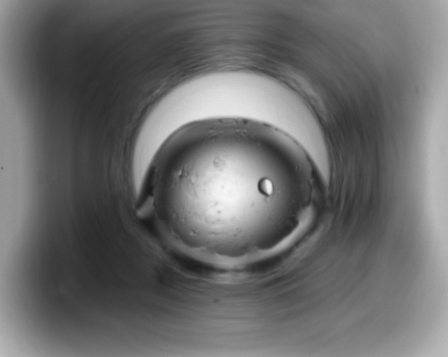 X0000099950362200805231326