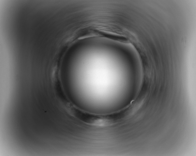 X0000099950364200805231326