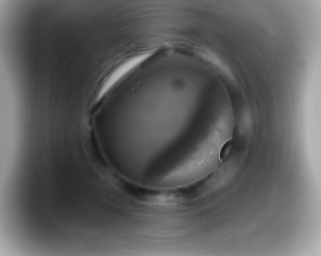 X0000099950366200805231326
