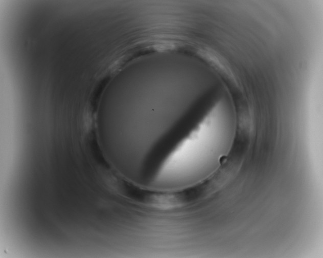 X0000099950367200805231326