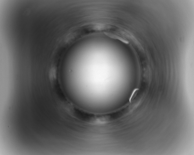 X0000099950368200805231326