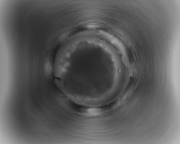 X0000099950371200805231326