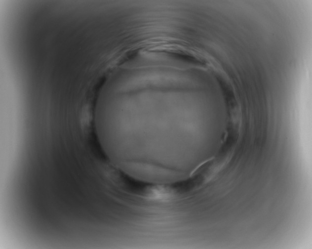 X0000099950372200805231326