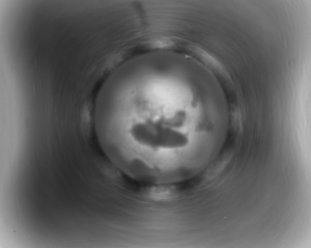 X0000099950373200805231326