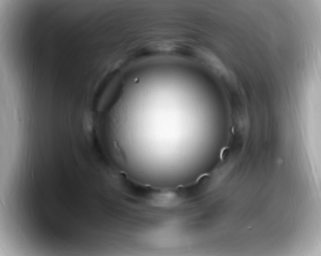 X0000099950374200805231326