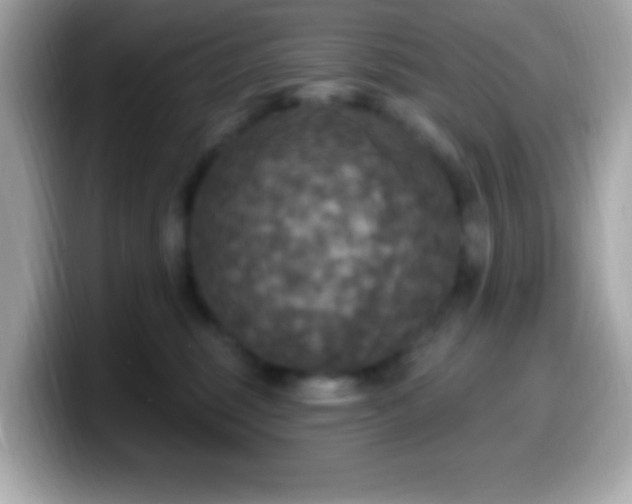 X0000099950375200805231326