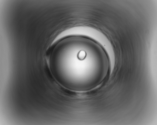 X0000099950376200805231326