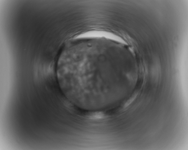 X0000099950377200805231326