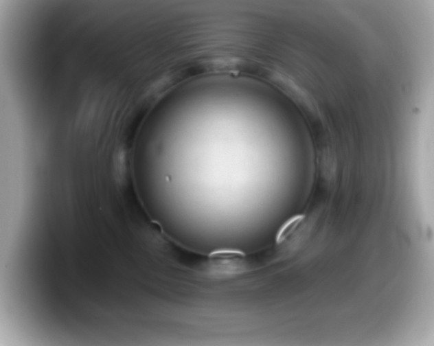X0000099950378200805231326