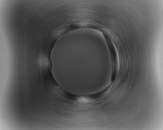 X0000099950380200805231326