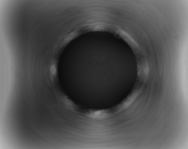 X0000099950382200805231326