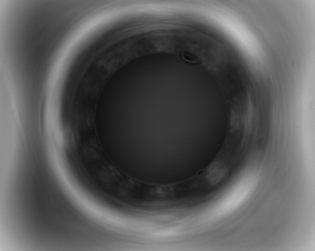 X0000099950383200805231326