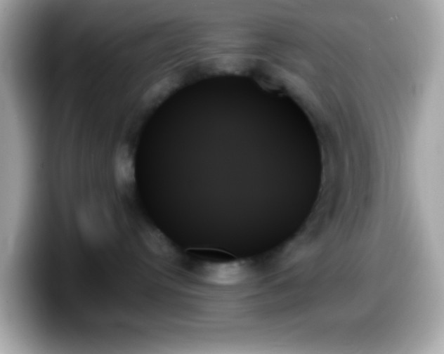 X0000099950384200805231326