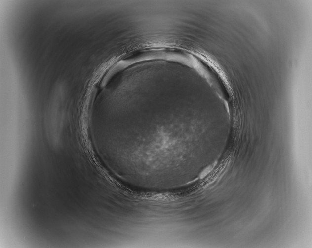 X0000099950385200805231326