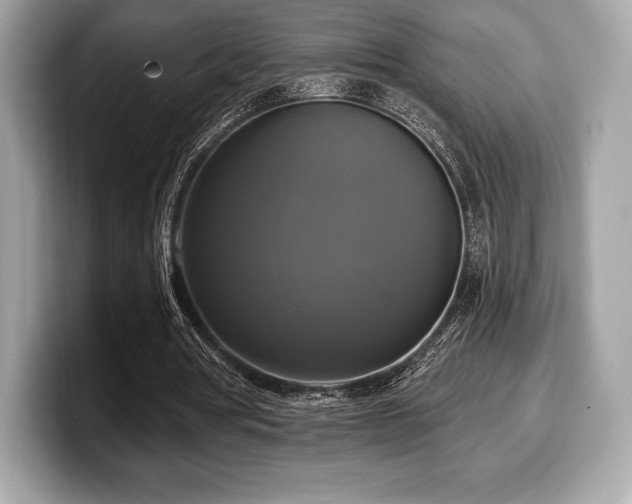 X0000099950386200805231326
