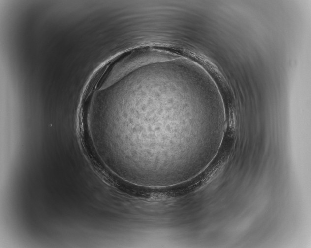 X0000099950388200805231326