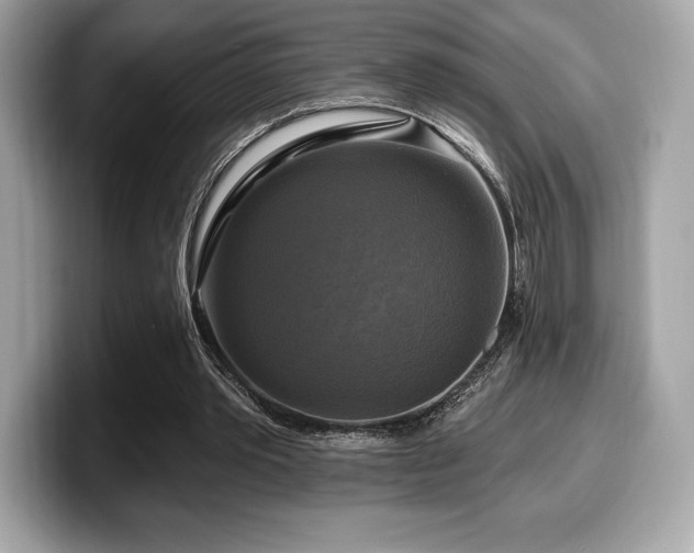 X0000099950389200805231326