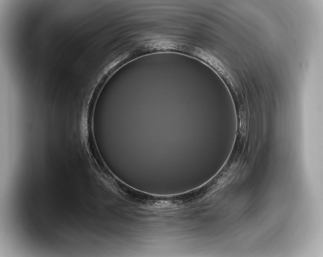 X0000099950390200805231326