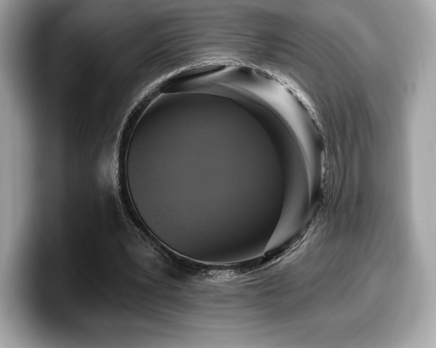X0000099950391200805231326