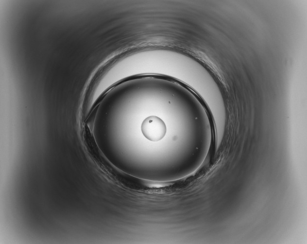 X0000099950392200805231326