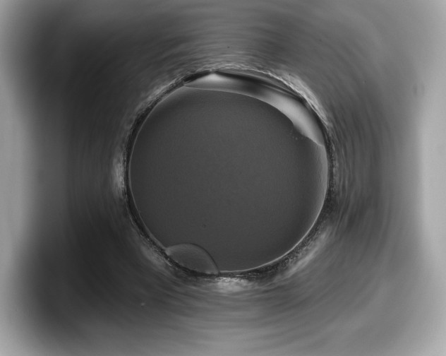 X0000099950393200805231326