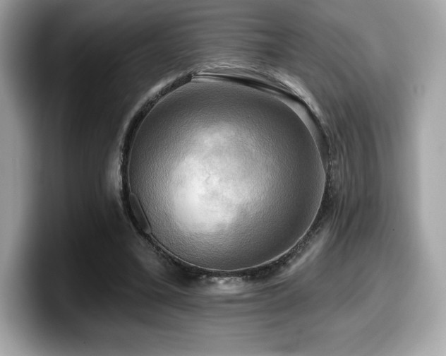 X0000099950395200805231326