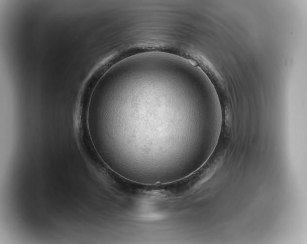 X0000099950396200805231326