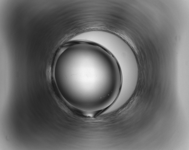 X0000099950397200805231326