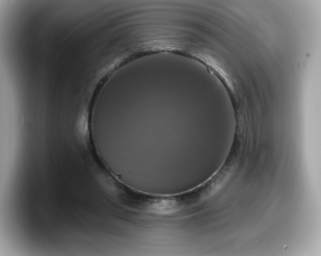 X0000099950398200805231326
