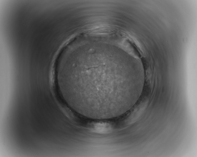 X0000099950400200805231326