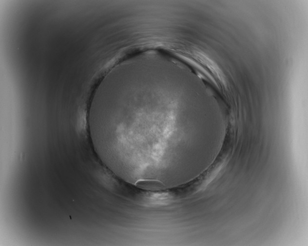 X0000099950401200805231326