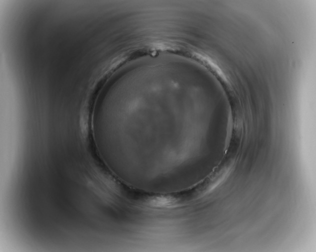 X0000099950402200805231326