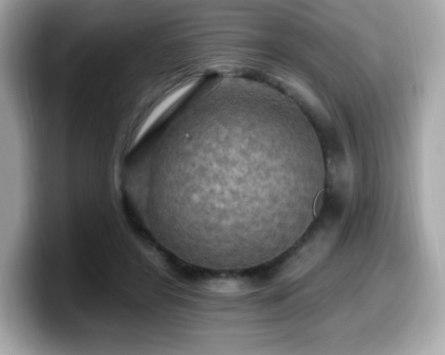 X0000099950404200805231325