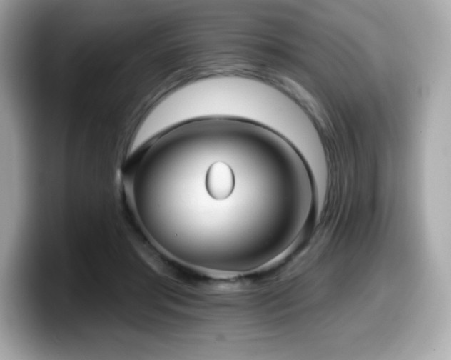 X0000099950405200805231325