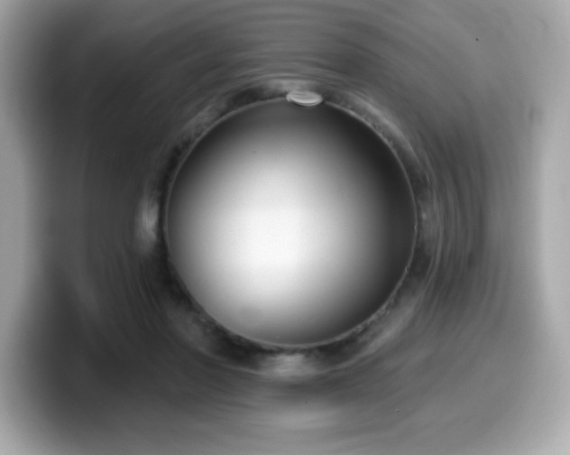 X0000099950406200805231325