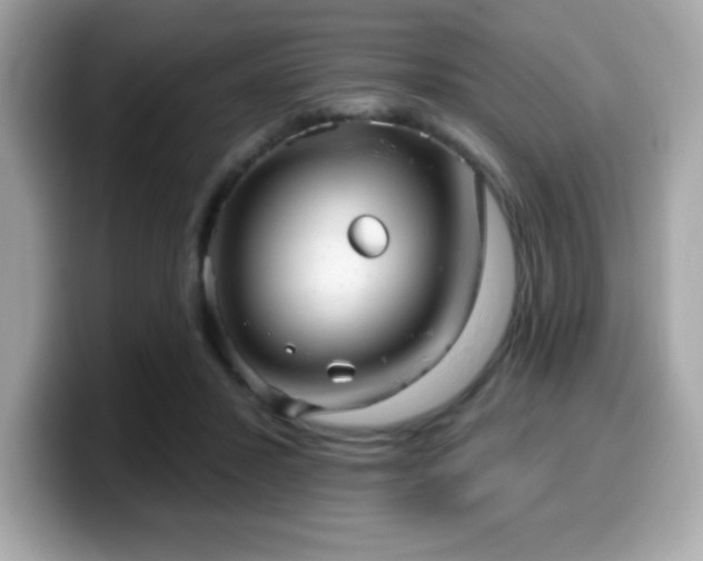 X0000099950407200805231325