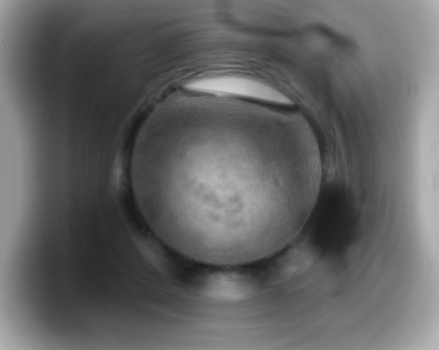 X0000099950408200805231325